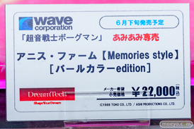 ウェーブ 超音戦士ボーグマン アニス・ファーム[Memories style]  小川陽三　五日市歩　フィギュア あみあみ 16