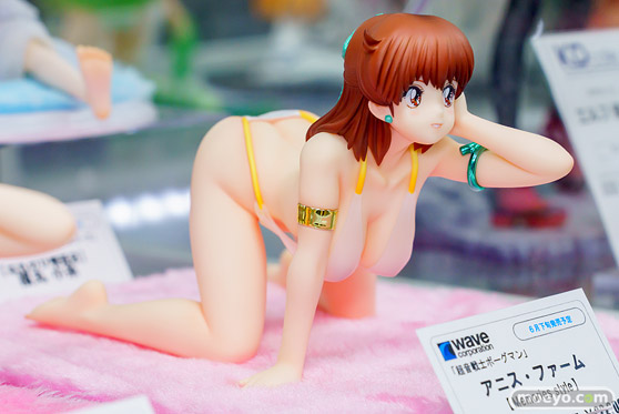 ウェーブ 超音戦士ボーグマン アニス・ファーム[Memories style]  小川陽三　五日市歩　フィギュア あみあみ 18