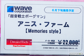 ウェーブ 超音戦士ボーグマン アニス・ファーム[Memories style]  小川陽三　五日市歩　フィギュア あみあみ 32
