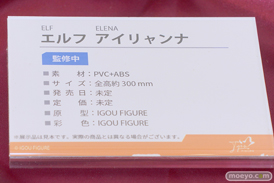 IGOU FIGURE エルフ アイリャンナ ワンダーフェスティバル2024 [冬]  フィギュア キャストオフ エロ 12