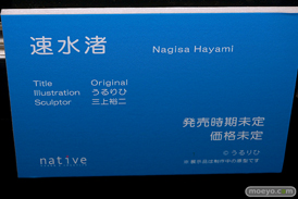 第8回 ネイティブグループ合同展示会（エロホビ） エロ フィギュア キャストオフ ネイティブ ロケットボーイ 15