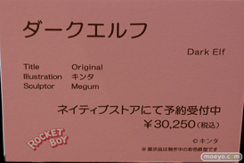 第8回 ネイティブグループ合同展示会（エロホビ） エロ フィギュア キャストオフ ネイティブ ロケットボーイ 52