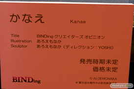 第8回 ネイティブグループ合同展示会（エロホビ） エロ フィギュア キャストオフ BINDing  23