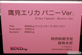 第8回 ネイティブグループ合同展示会（エロホビ） エロ フィギュア キャストオフ BINDing  53