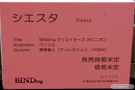 第8回 ネイティブグループ合同展示会（エロホビ） エロ フィギュア キャストオフ BINDing  66