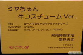 第8回 ネイティブグループ合同展示会（エロホビ） エロ フィギュア キャストオフ のくちゅるぬ 16
