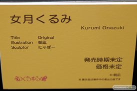 第8回 ネイティブグループ合同展示会（エロホビ） エロ フィギュア キャストオフ のくちゅるぬ 21
