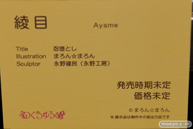 第8回 ネイティブグループ合同展示会（エロホビ） エロ フィギュア キャストオフ のくちゅるぬ 42