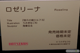 第8回 ネイティブグループ合同展示会（エロホビ） エロ フィギュア キャストオフ HOTVENUS UnBOUND 11