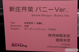 第8回 ネイティブグループ合同展示会(エロホビ) エロ フィギュア キャストオフ BINDing 家庭教師X催●2~絶対従順、高飛車姉妹をドスケベ淫乱に催●操作~ 新庄芹菜 バニーVer. DT YOSHI 月柳 22
