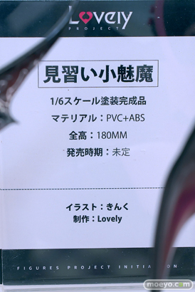 ワンダーフェスティバル2024 [夏]  フィギュア キャストオフ エロ あみあみホビーキャンプSP DIGIGIRL Lovely Eclipse Feather 19