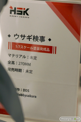 ワンダーフェスティバル2024 [夏]  フィギュア あみあみホビーキャンプ Hobby sakura　12