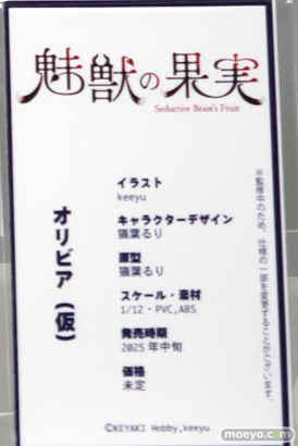 ワンダーフェスティバル2024 [夏]  フィギュア KEYAKI☆Hobby 14