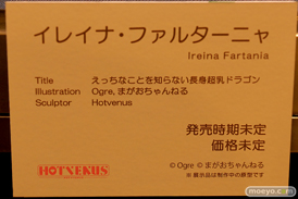 第9回 ネイティブグループ合同展示会（エロホビ） エロ フィギュア キャストオフ HOTVENUS 16