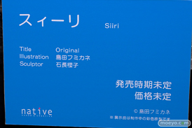 ネイティブ 島田フミカネ オリジナルキャラクター スィーリ 石長櫻子 しゅんじろう 第8回 ネイティブグループ合同展示会(エロホビ) エロ フィギュア キャストオフ 21