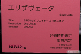 エリザヴェータ BINDing ひなづか涼 第9回 ネイティブグループ合同展示会（エロホビ） エロ フィギュア キャストオフ 17