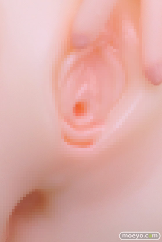 F.W.A.T(フワット) さかなつり 司咲りな へんりぃだ 西瓜ヶ原いち華 エロ キャストオフ フィギュア 製品版 37