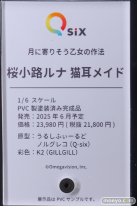 ワンダーフェスティバル2025 [冬]  フィギュア キャストオフ エロ Q-six 54