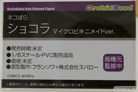ワンダーフェスティバル2025 [冬]  フィギュア あみあみホビーキャンプ オーキッドシード  04