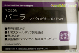 ワンダーフェスティバル2025 [冬]  フィギュア あみあみホビーキャンプ オーキッドシード  08