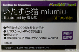 ワンダーフェスティバル2025 [冬]  フィギュア あみあみホビーキャンプ オーキッドシード  21
