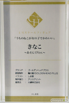 ワンダーフェスティバル2025 [冬]  フィギュア あみあみホビーキャンプ GOLDENHEAD PLUS  18