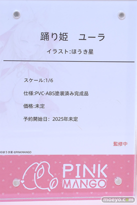 ワンダーフェスティバル2025 [冬]  フィギュア キャストオフ エロ PINKMANGO ほうき星踊り姫 ユーラ 14
