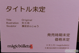 第10回 ネイティブグループ合同展示会（エロホビ） エロ フィギュア キャストオフ  HOTVENUS マジックバレット 32