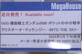 秋葉原の新作フィギュア展示の様子 2025年3月16日 あみあみ シルフェレット・グライラット   33