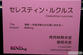 第10回 ネイティブグループ合同展示会（エロホビ） エロ フィギュア キャストオフ BINDing 黒獣～気高き聖女は白濁に染まる～ セレスティン・ルクルス 14