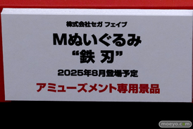 AnimeJapan 2025 日テレ バンナム 小学館集英社プロダクション ブシロード コトブキヤ 30