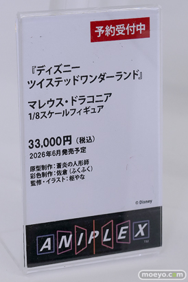 AnimeJapan 2025 アニプレックス プラム セガ 博報堂DYミュージック＆ピクチャーズ 09