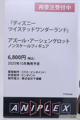 AnimeJapan 2025 アニプレックス プラム セガ 博報堂DYミュージック＆ピクチャーズ 11