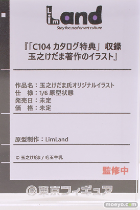 ワンダーフェスティバル2025 [冬]  フィギュア LimLand C104カタログ特典 収録 玉之けだま 著作のイラスト 13