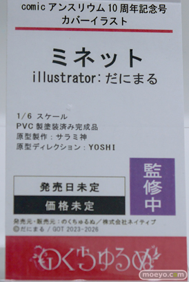ワンダーフェスティバル2025 [冬]  エロ フィギュア キャストオフ のくちゅるぬ comicアンスリウム 10周年記念号 カバーイラスト ミネット illustrator：だにまる サラミ神 YOSHI 10