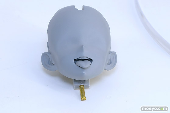 PURE 対魔忍RPG マヤ・コーデリア ワンダーフェスティバル2025 [冬]  フィギュア キャストオフ エロ 06