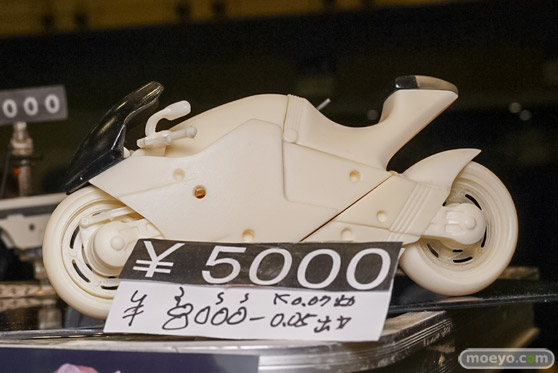 画像　フィギュア　サンプル　レビュー　ワンダーフェスティバル2025 [冬]　EBO ねこみんと。　山野村夫
 08