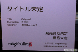 第10回 ネイティブグループ合同展示会（エロホビ） エロ フィギュア キャストオフ マジックバレット タイトル未定 天三月 厚皮まんじゅう 18