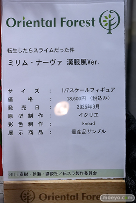 秋葉原の新作フィギュア展示の様子 2025年4月13日 あみあみ 29