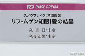 ワンダーフェスティバル2025 [冬]  フィギュア RAISE DREAM スノウブレイク：禁域降臨 リフ ムゲン知眼 愛の結晶 09