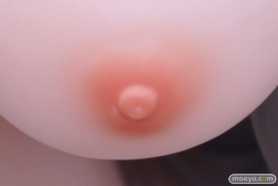 ダイキ工業 The witchウィッチ 柾見ちえ ラジオウェーブ・パラドックス 明智逸鶴 佐野一馬 フィギュア エロ キャストオフ 製品版 33