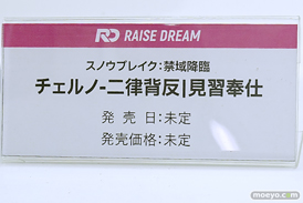 ワンダーフェスティバル2025 [冬]  フィギュア Raise Dream スノウブレイク ： 禁域降臨 チェルノ＆ムルソー 見習いメイド 18