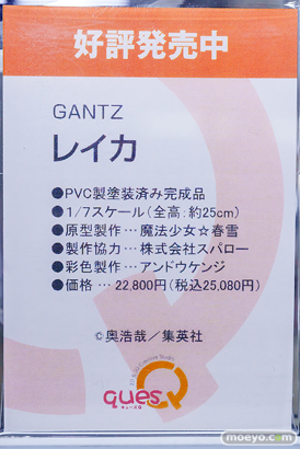 キューズQ GANTZ レイカ 魔法少女☆春雪 株式会社スパロー アンドウケンジ フィギュア あみあみ PVC 22