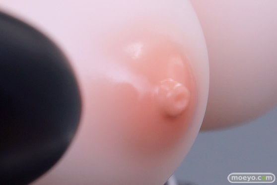 HOTVENUS momiオリジナルキャラクター MB家のメイド達 ミーア 次元アンカー 石鴞 エロ キャストオフ フィギュア 製品版 44