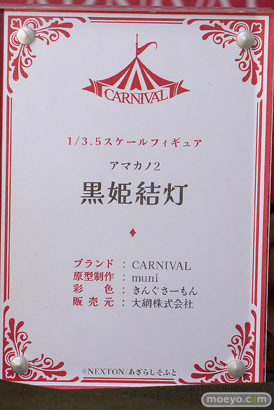 ワンダーフェスティバル2025 [冬]  フィギュア キャストオフ エロ カーニバル アマカノ2 黒姫結灯 muni きんぐさーもん 14