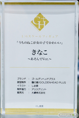 秋葉原の新作フィギュア展示の様子 2025年5月31日 あみあみ 12