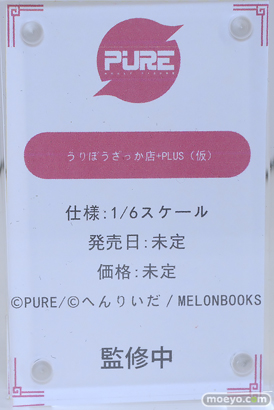 ワンダーフェスティバル2025 [冬]  フィギュア キャストオフ エロ PURE うりぼうざっか店+PLUS（仮） へんりいだ 12