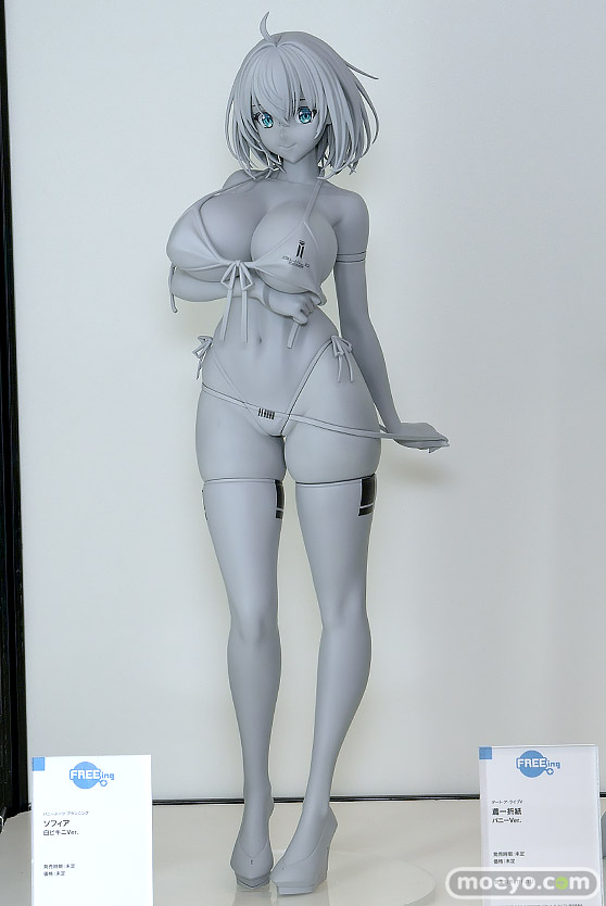 スマイルフェス2025 フィギュア 2F フリーイング リアス ウイング らんま 不知火舞 紫式部 21