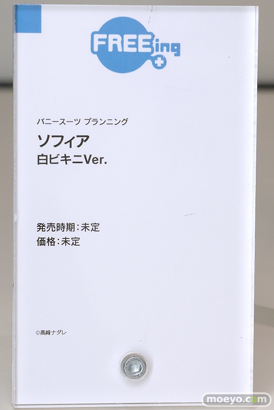 スマイルフェス2025 フィギュア 2F フリーイング リアス ウイング らんま 不知火舞 紫式部 23