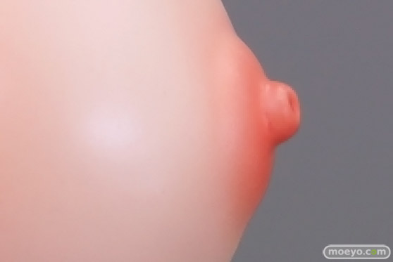 オーキッドシード いたずら猫-miumiu- illustrated by 魔太郎 洋平 榊馨 エロ キャストオフ フィギュア 48